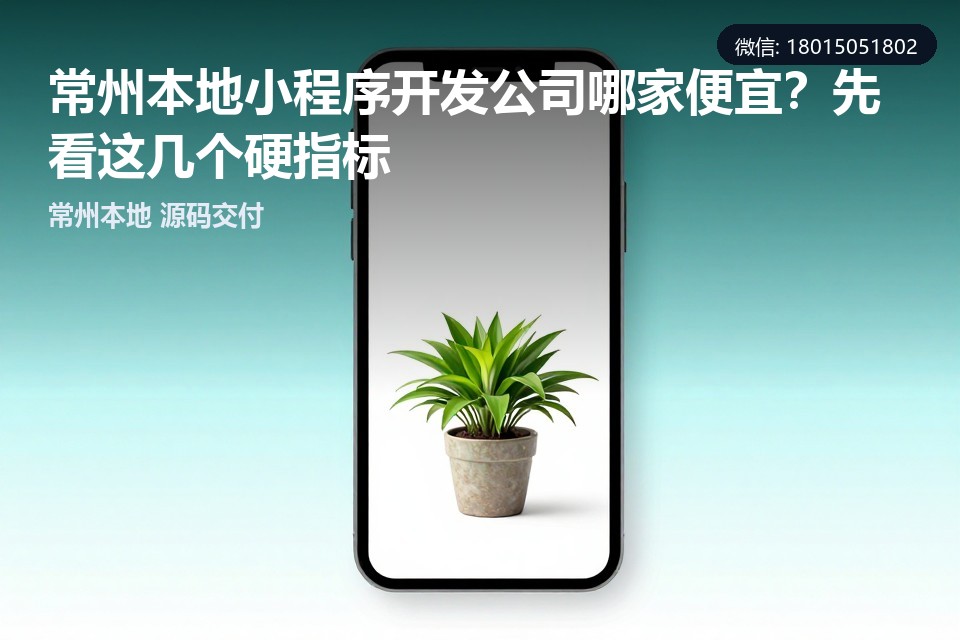 常州小程序开发,本地开发公司,源码交付,小程序定制,售后维护