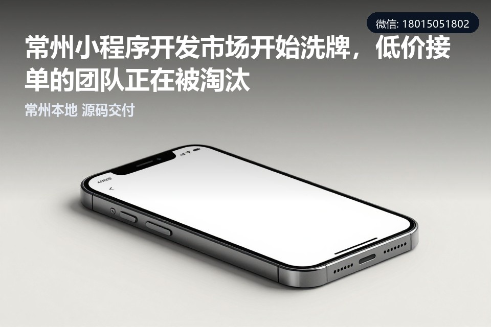 常州,小程序开发,定制开发,模板套壳,本地化交付