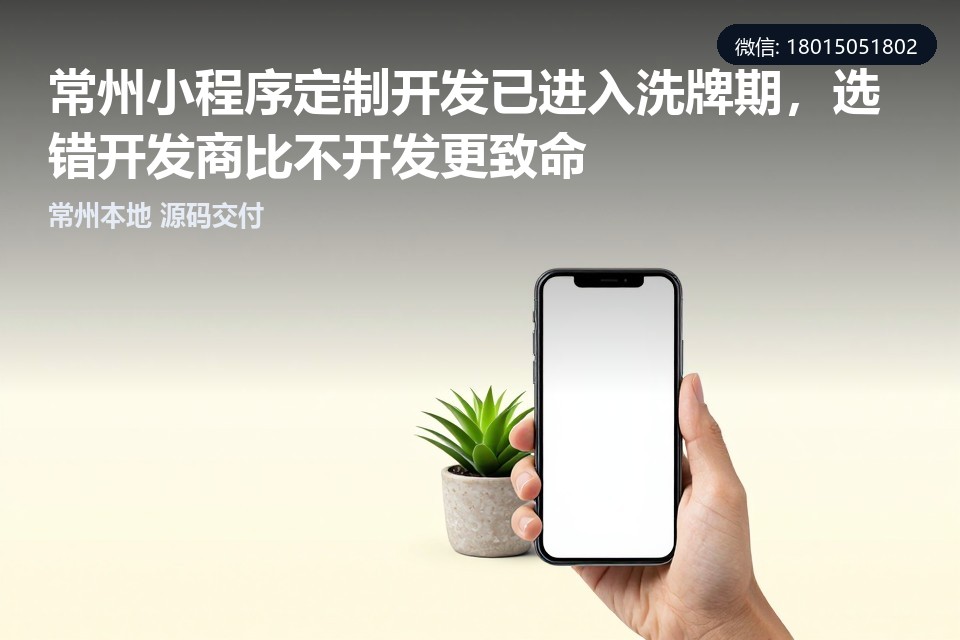 常州,小程序定制开发,本地化服务,售后响应,运营陪跑